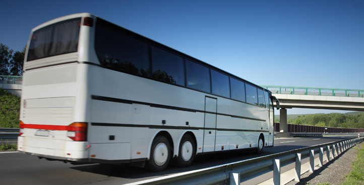 TRUCK & BUS